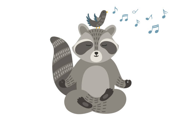 istock Racoon meditating in yoga pose with bird singing on the heard. 1479985358