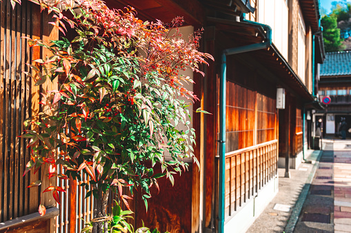 Traditional Japanese cityscape in Kanazawa, Japan