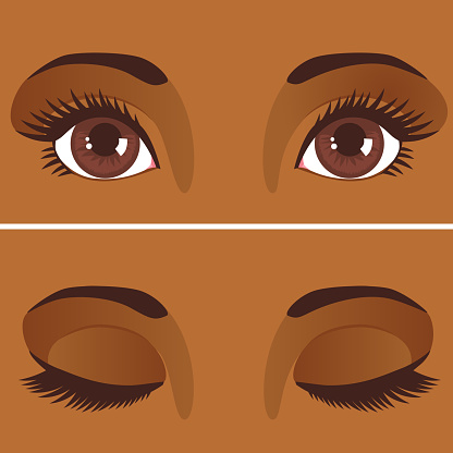 Vector illustration of eyes close up with long eyelashes