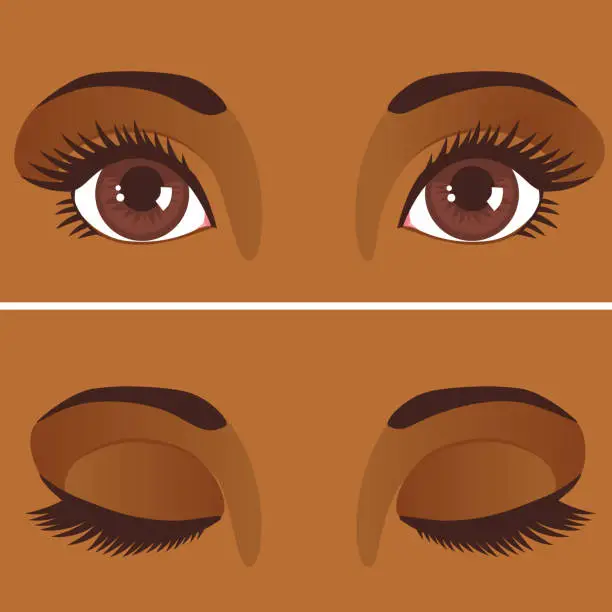 Vector illustration of Eyes Close Up With Long Eyelashes