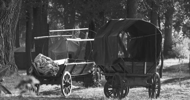 istock Russian Soviet World War Ii Peasant Carts In Forest. Wwii Equipm 1479994836