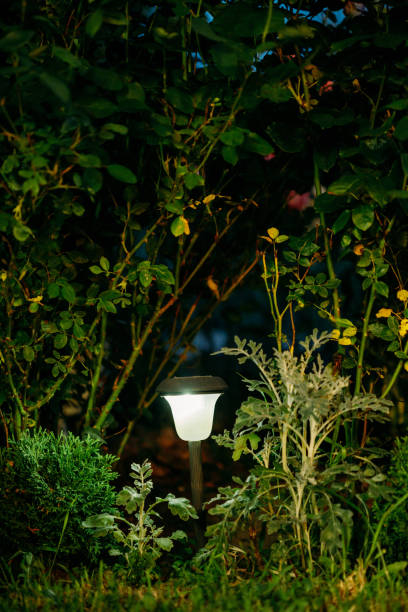 istock Small Solar Garden Light, Lantern In Flower Bed. Garden Design. Solar Powered Lamp At Summer Night Garden. Ecological Energy Concept. Garden Design 1479996805