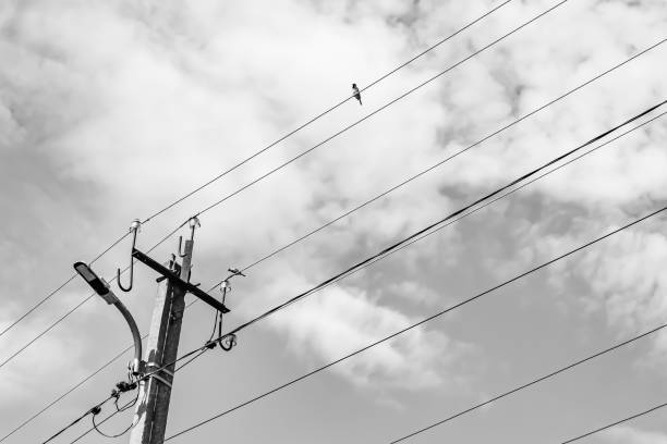 istock Power electric pole with line wire on light background close up 1479999334