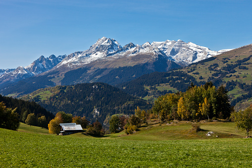 Barn on an alp above Obersaxen with a mountain range with fresh snow in the background. The highest group of three mountains is called the Brigelserhörner. The picture was taken in fall.