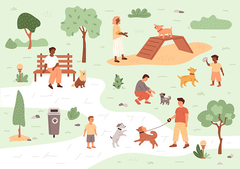 People walking with their pets in public garden. Summer vector illustration with trees, lights, grass, dog waste bin.