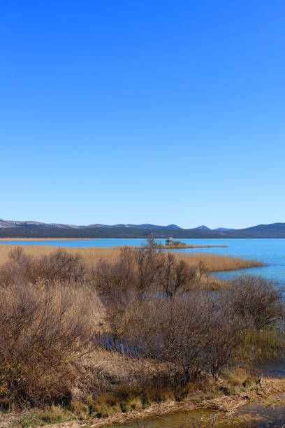 istock Lake Vrana, Croatia 1480004899
