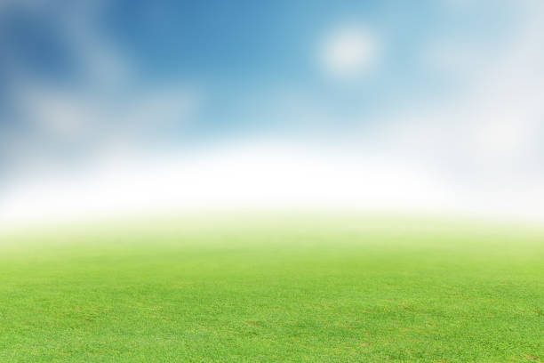 Lush green summer landscape with field and sky with clouds