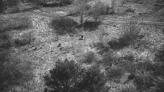Men Dressed As US American Soldiers Of USA Infantry Of World War II run in attack In spring Autumn Day. Soldiers Marching In meadow . Aerial view elevated shot,