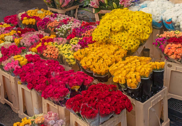 istock Colorful flowers on market 1480013839