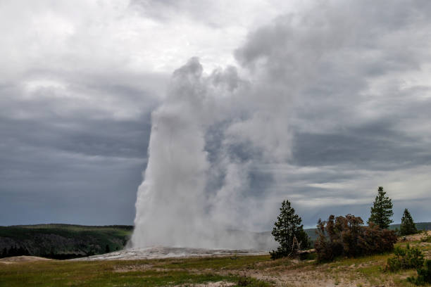istock Old Faithfull geyser in Yellowstone 1480018406