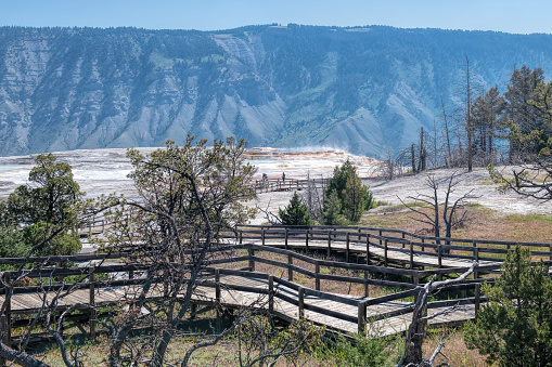 Mammoth spring in yellowstone park