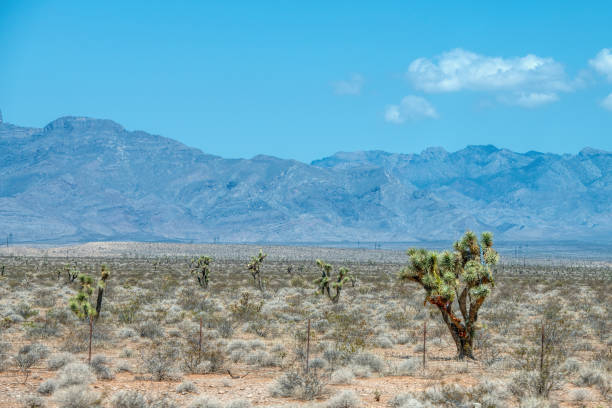 istock Desert landscape near Las Vegas 1480018734