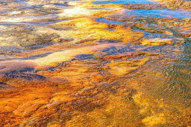 istock colorful geothermal deposits in yellowstone park 1480019347