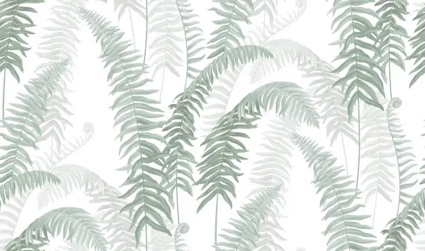 Vector illustration of Seamless pattern with tropical fern. Foliage background. Vector botanical illustration.