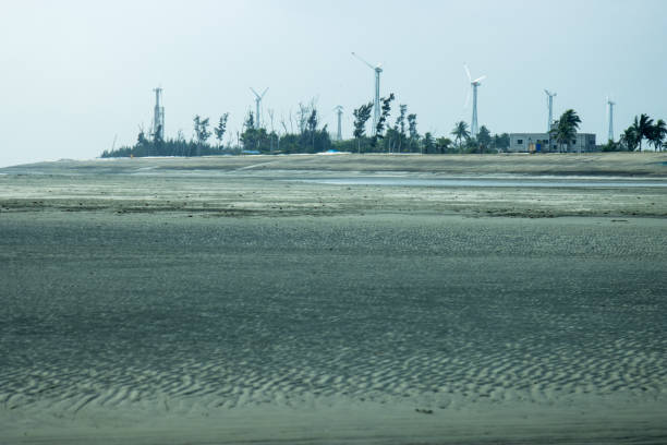 One of the most well known tourist place is bakkhali for it's sea beach and natural beauty in Bengal
