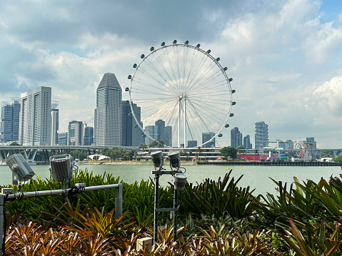 Stock photo showing view across Singapore waterfront of the Singapore Flyer and cityscape skyscrapers viewed over a flowerbed planted up with a group of exotic shrubs and trees.