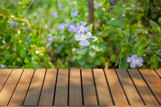 istock wooden table with forest bokeh background 1480024162