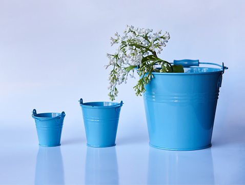 Three different size metallic blue buckets with white Lilac. Can be used for interior or exterior décor. Gardening