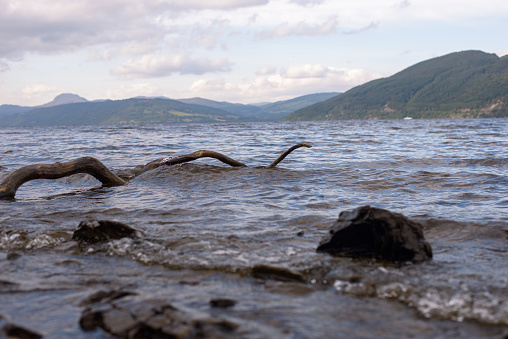 Loch Ness Monster or a wood branch? Loch Ness landscape, Scotland, on sunny day. Low level view with shore rocks in foreground.