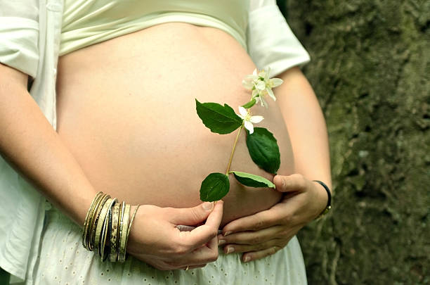 istock Pregnant woman 148003386