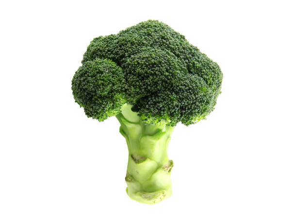 istock Broccoli, green vegetable for cooking isolated on white background. 1480041831