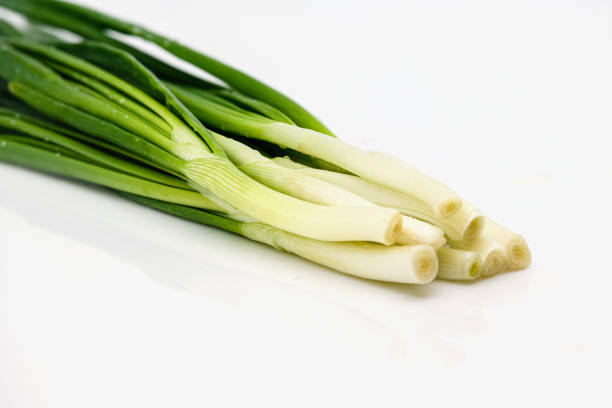 Close-up of sprouting garlic showing fresh green shoots emerging from the bulb.