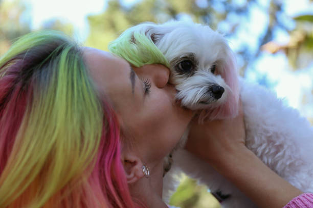 istock Woman with a dog in the park. 1480057672