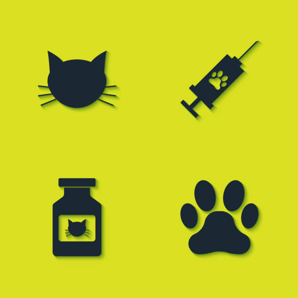 zestaw kota, odcisk łapy, butelkę z lekiem i strzykawkę z ikoną szczepionki dla zwierząt domowych. wektor - syringe silhouette computer icon icon set stock illustrations