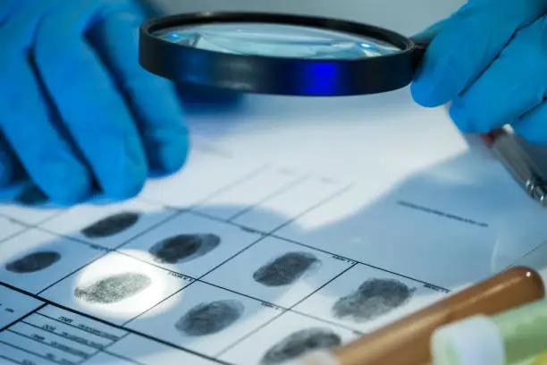 Senior forensic scientist working in laboratory