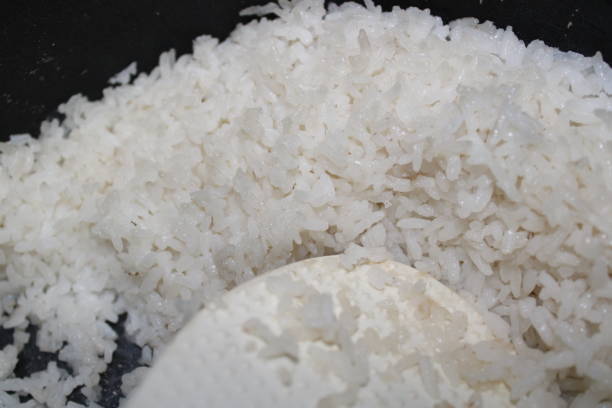 istock photo of white rice in the basin 1480062696