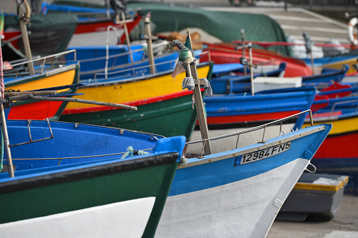 Madeira, December 02, 2022: Colorful fishing boats at fisherman village Camara de Lobos, Madeira island, Portugal