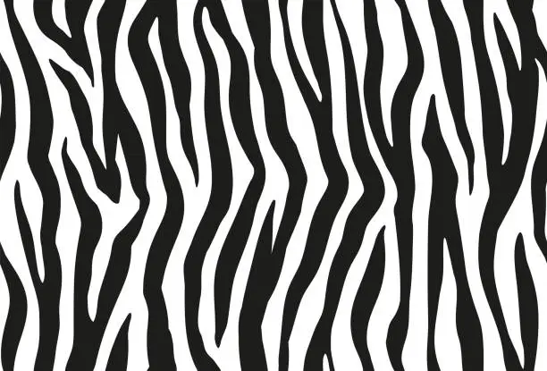 Vector illustration of Zebra stripes seamless pattern. Tiger stripes skin print design. Wild animal hide artwork background. Black and white vector illustration.