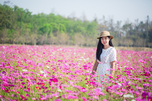 girl and field of flowers,silhouette woman vintage white long dress Medieval princess in historical dress Straw Hat Boater Flowers The fragrance of spring nature, a field of pink flowers.