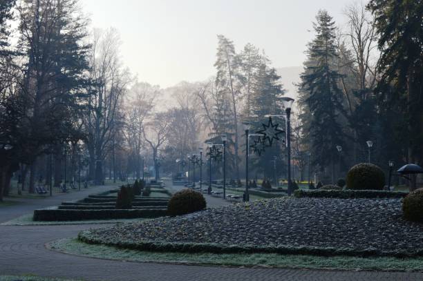 istock public park in the morning in winter 1480073620