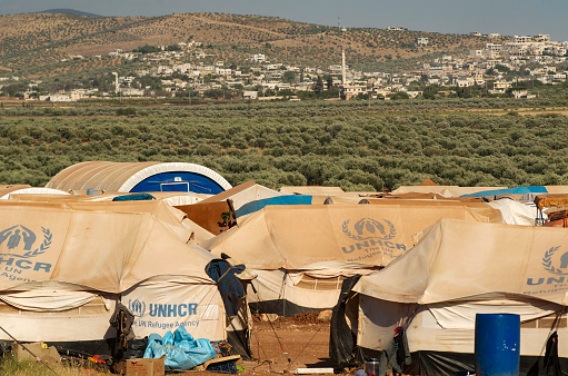 Refugee tents in an olive grove at Kara Tepe camp near Mytilene, Lesbos, Greece. The camp was established for refugees transiting through Lesbos on their way from Turkey (and before that other countries) to the heart of Europe.