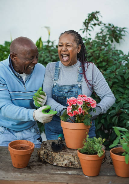 casal africano sênior se divertindo jardinando juntos ao ar livre - senior couple senior adult pension couple - fotografias e filmes do acervo