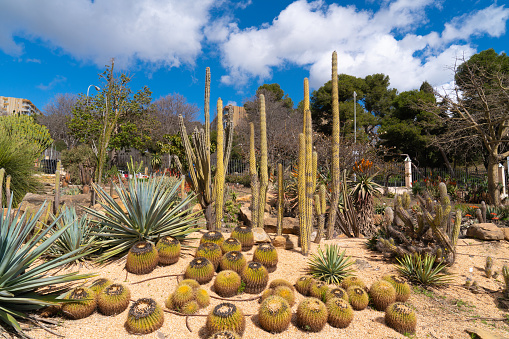 Parque la Paloma beautiful park and green space Benalmadena, Spain, Costa Del Sol on Friday 24th February 2023