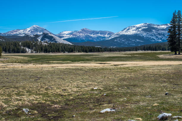istock Tioga Pass Tuolumne Meadows 1480079656