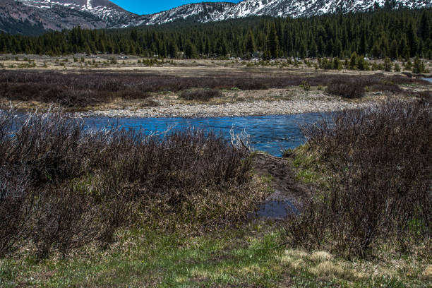 istock Tioga Pass Tuolumne Meadows 1480080423
