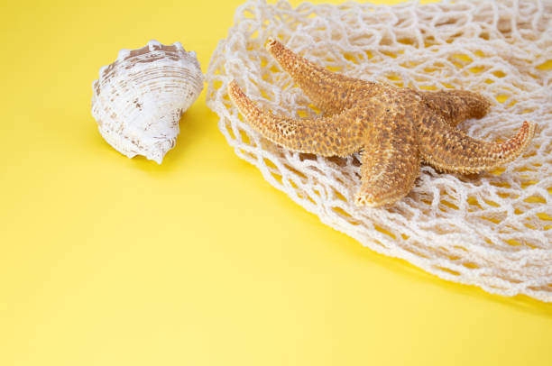 Starfish, shells with bag string bag on yellow background. Concept of summertime, vacation, travel. Copy space Starfish, shells with bag string bag on yellow background. Concept of summertime, vacation, travel. Copy space shell starfish orange sea stock pictures, royalty-free photos & images