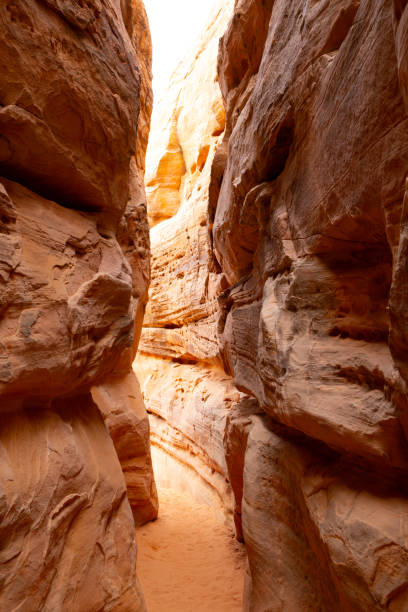 istock Hike Through Valley of Fire State Park 1480094367