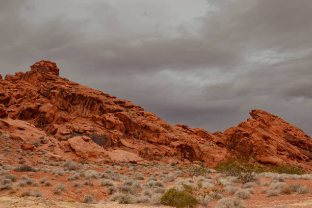 istock Hike Through Valley of Fire State Park 1480094530