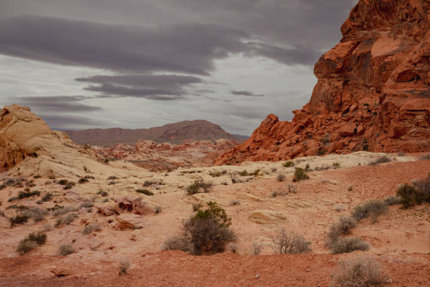 istock Hike Through Valley of Fire State Park 1480094596
