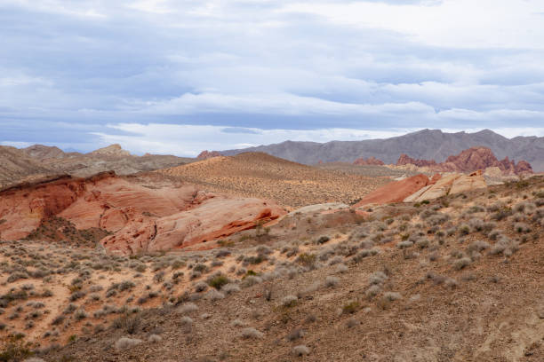 istock Hike Through Valley of Fire State Park 1480094632