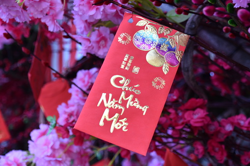 Lucky money envelope for Lunar New Year with floral background in cool hues