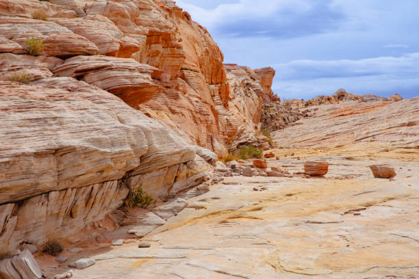 istock Hike Through Valley of Fire State Park 1480094805