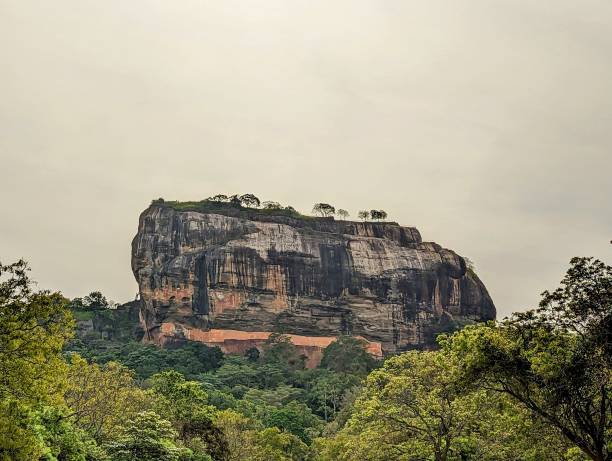 istock Sigiriya Lion Rock in Sri Lanka 1480099046