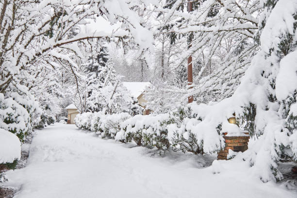 istock Driveway leading to snowy suburban home 1480099089