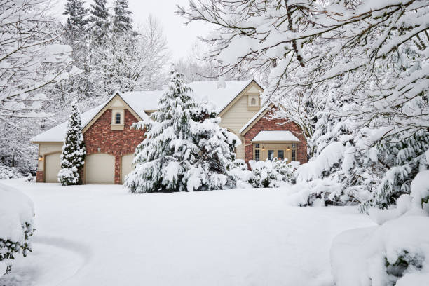 istock Suburban home in the snow 1480099123