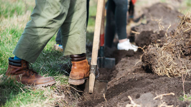 istock Volunteers planting trees in nature 1480105637